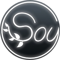 The Soy Salon